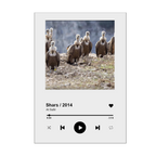 PACK SONG GLASSES FIRMADOS AL SAFIR – SHARS 2014, 2019, 2020 & 2023