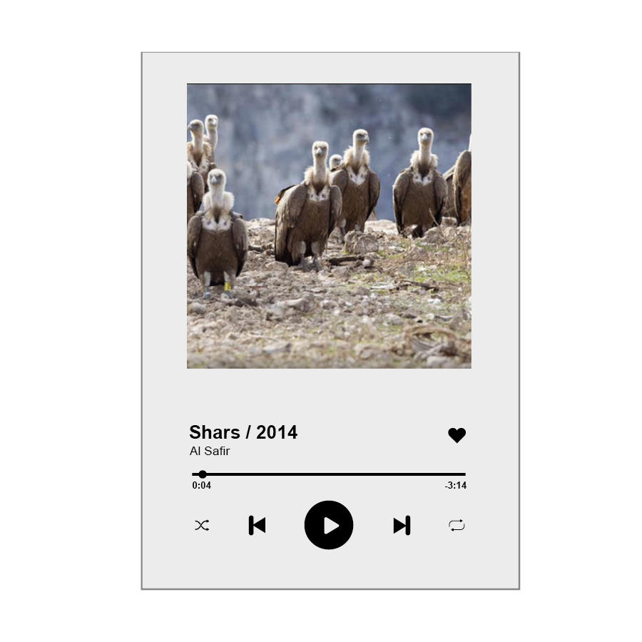 SONG GLASS FIRMADO AL SAFIR – SHARS 2014